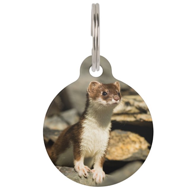 Placa Para Mascotas Alert Weasel (Anverso)