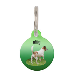 Placa Para Mascotas Alerta de Fox Terrier Miniatura, Etiqueta de Masco
