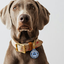 Alerta Médica de Mascota de Texto Personalizado pa