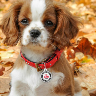 Placa Para Mascotas Alerta Médica para Mascotas Ciegas Nombre Personal