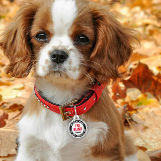 Placa Para Mascotas Alerta Médica para Mascotas Ciegas Nombre Personal
