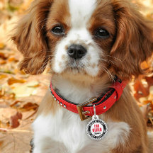 Alerta Médica para Mascotas Ciegas Nombre Personal