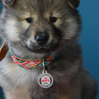 Placa Para Mascotas Alerta Médica para Mascotas Diabéticas Nombre Pers