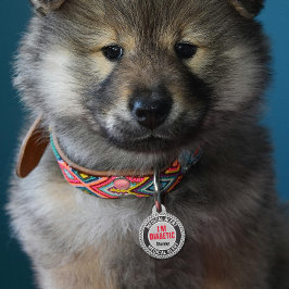 Placa Para Mascotas Alerta Médica para Mascotas Diabéticas Nombre Pers