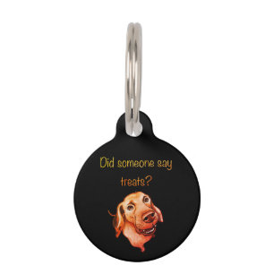 Placa Para Mascotas ¿Alguien dijo golosinas? Perro divertido