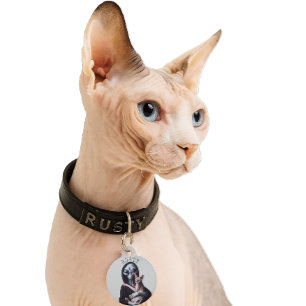 Placa Para Mascotas Alien Hairless Sphynx Cat Nombre personalizado Eti