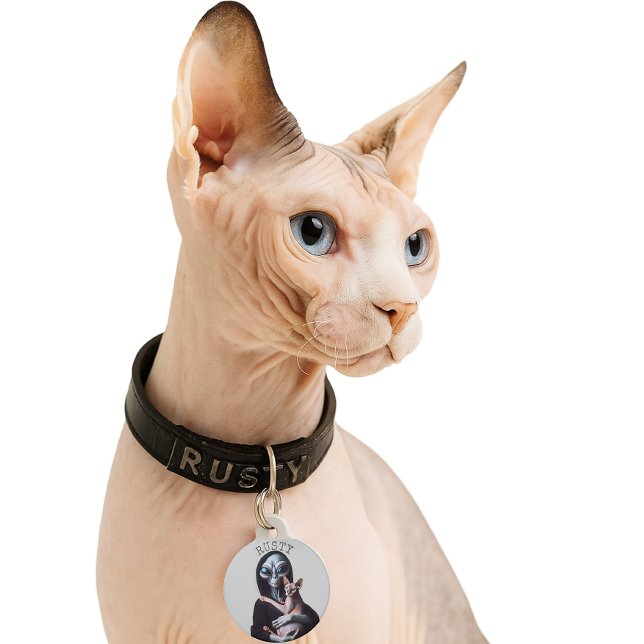 Placa Para Mascotas Alien Hairless Sphynx Cat Nombre personalizado Eti (Alien Holding Sphynx Cat ID tag)
