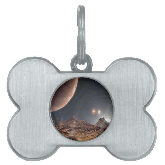 Placa Para Mascotas Alien World (Frente)