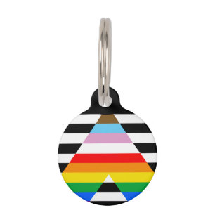 Placa Para Mascotas Ally Progress Pride Flag