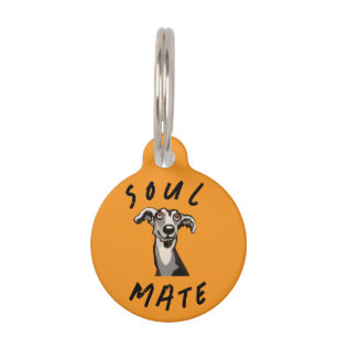 Placa Para Mascotas Alma gemela divertida galgo, whippet, galgo greyho