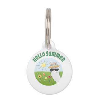 Placa Para Mascotas Alpaka-Party Hello Summer Alpaca partytime
