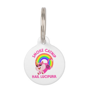 Placa Para Mascotas Alumnos de la cola de la cacerola del humo, curios