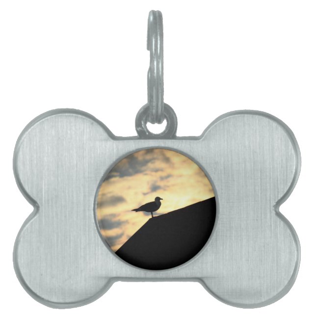 Placa Para Mascotas Amanecer de las gaviotas marinas (Frente)