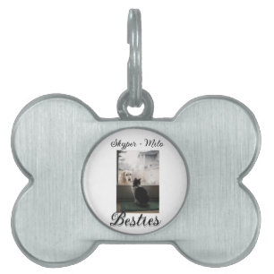 Placa Para Mascotas Amigos mascotas mejores amigos agregar nombre foto