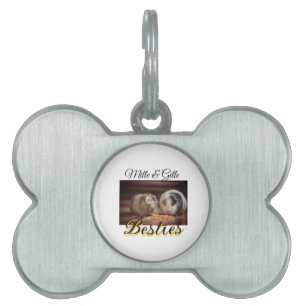 Placa Para Mascotas Amigos mascotas mejores amigos agregar nombre masc