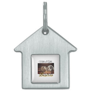 Placa Para Mascotas Amigos mascotas mejores amigos agregar nombre masc