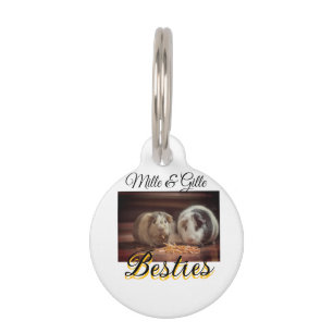Placa Para Mascotas Amigos mascotas mejores amigos agregar nombre masc
