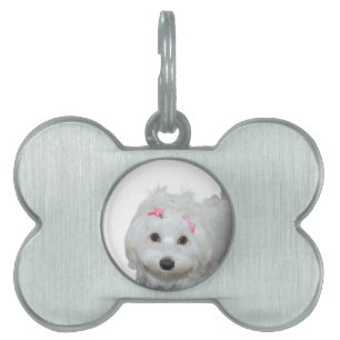 Placa Para Mascotas Amo a mi maltés Lili 