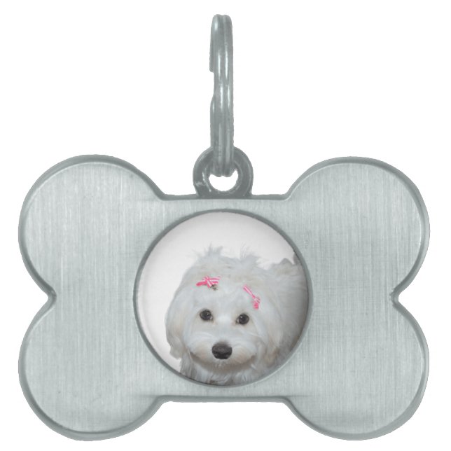 Placa Para Mascotas Amo a mi maltés Lili  (Frente)