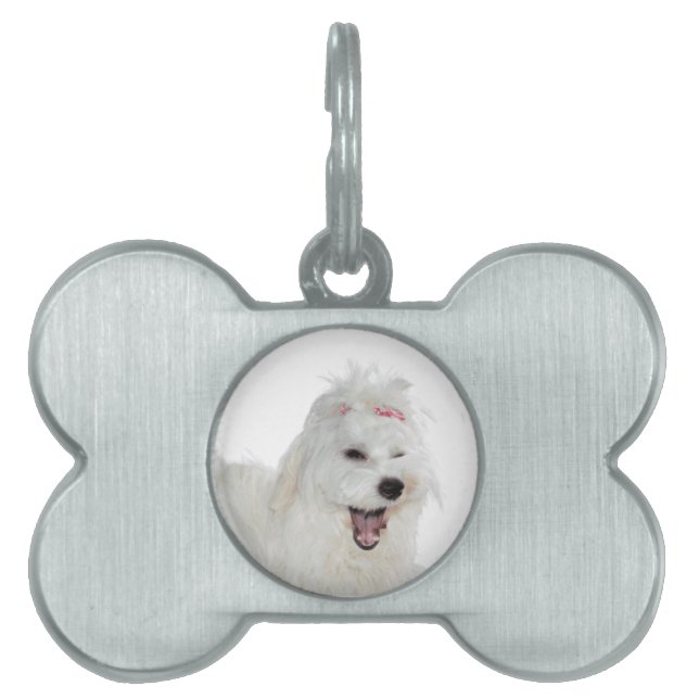 Placa Para Mascotas Amor maltés lindo flúffy blanco lirio (Frente)