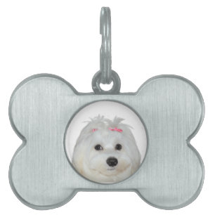Placa Para Mascotas Amor maltés lindo perro Lili