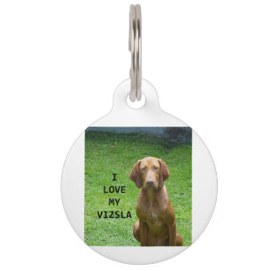 Placa Para Mascotas amor vizsla con foto