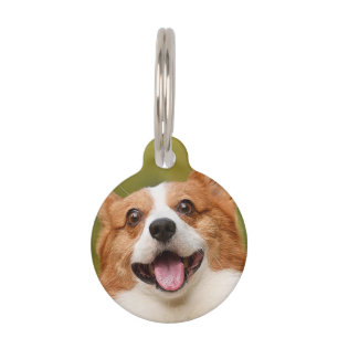 Placa Para Mascotas Añadir foto de perro personalizada