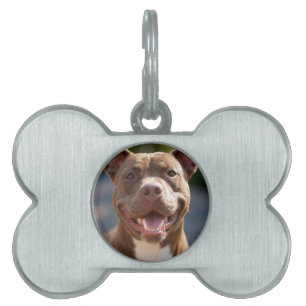 Placa Para Mascotas Añadir Personalizar fotográfico de pitaciones
