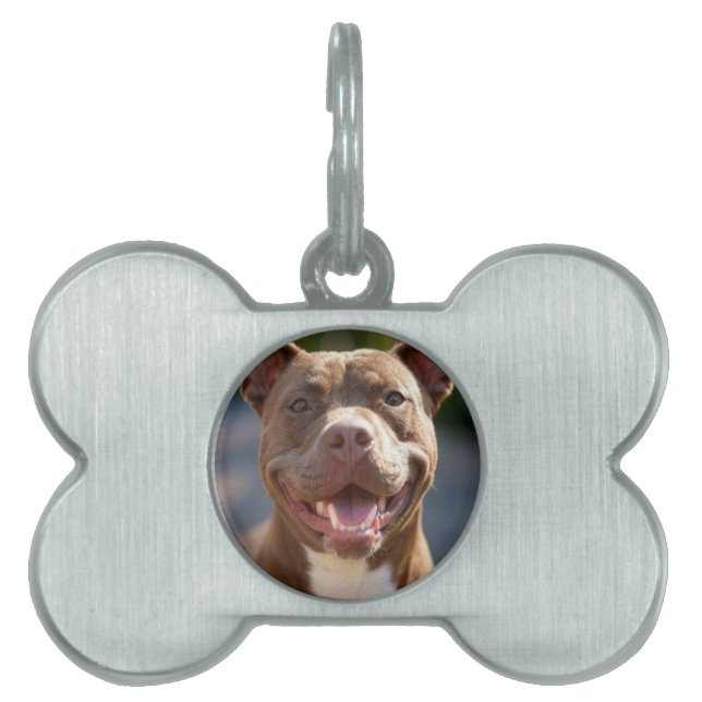 Placa Para Mascotas Añadir Personalizar fotográfico de pitaciones (Frente)