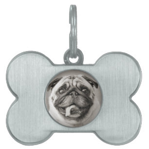 Placa Para Mascotas Añadir su propia foto Etiqueta de hueso de perro
