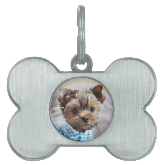 Placa Para Mascotas Añadir su propia foto y Personalizable (Frente)
