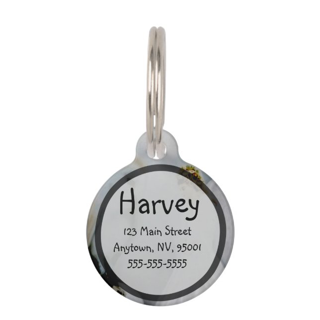 Placa Para Mascotas Ángel de guarda del cuidado y búho blanco de (Anverso)