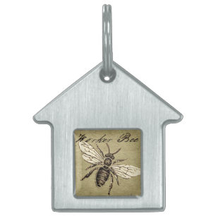 Placa Para Mascotas Antigüedad del Ilustracion de los insectos de los 