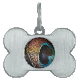 Placa Para Mascotas Antiguo Hues Peacock Feather Eye