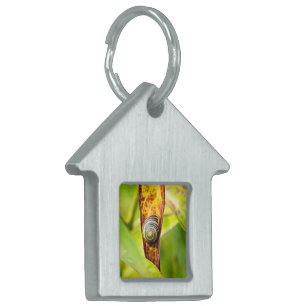 Placa Para Mascotas apego