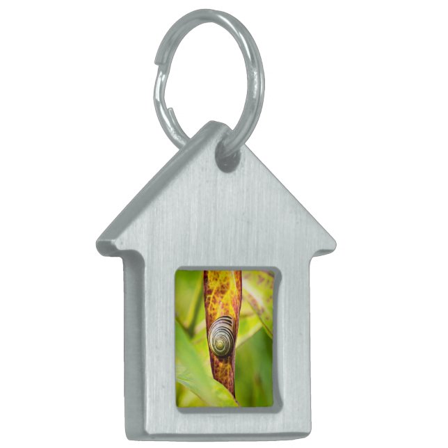 Placa Para Mascotas apego (Frente Izquierda)