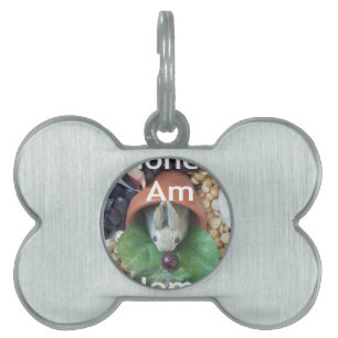 Placa Para Mascotas Aperitivo de conejo