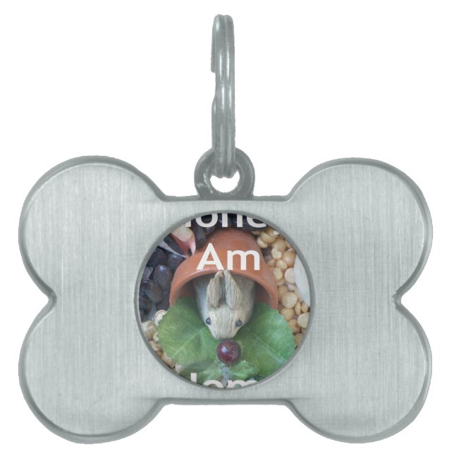 Placa Para Mascotas Aperitivo de conejo (Frente)