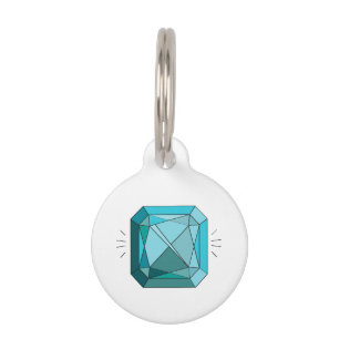 Placa Para Mascotas Aquamarina