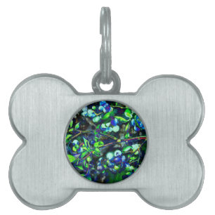 Placa Para Mascotas Arándano - tono verde