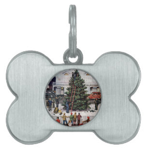 Placa Para Mascotas Árbol en plaza