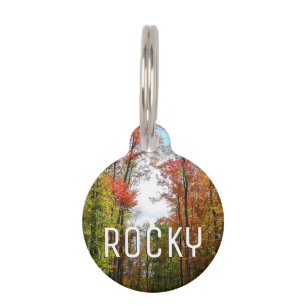 Placa Para Mascotas Árboles de otoño y cielo azul Fotografía de la nat