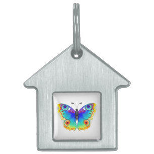Placa Para Mascotas Arcoiris mariposa Peacock Eye