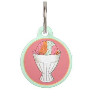 Placa Para Mascotas Arcoiris Sherbet Helado Sorbet Desserenato