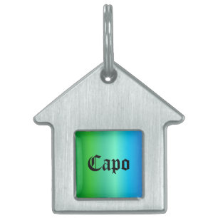 Placa Para Mascotas Arcoiris verde azul