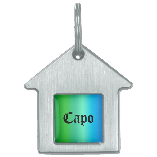 Placa Para Mascotas Arcoiris verde azul (Frente)