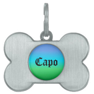 Placa Para Mascotas Arcoiris verde azul