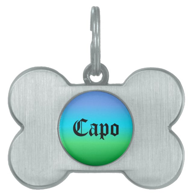 Placa Para Mascotas Arcoiris verde azul (Frente)