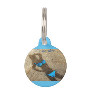 Placa Para Mascotas Arena azul de Bikini Beach Thunder_Cove