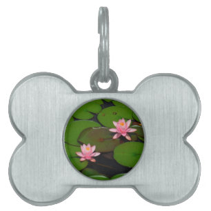 Placa Para Mascotas Aroma de flores de lirio de loto rosa,